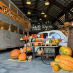 Iga: Lake Biwa Architecture & Miho Museum Day Trip Osaka - Exploring each stop in detail