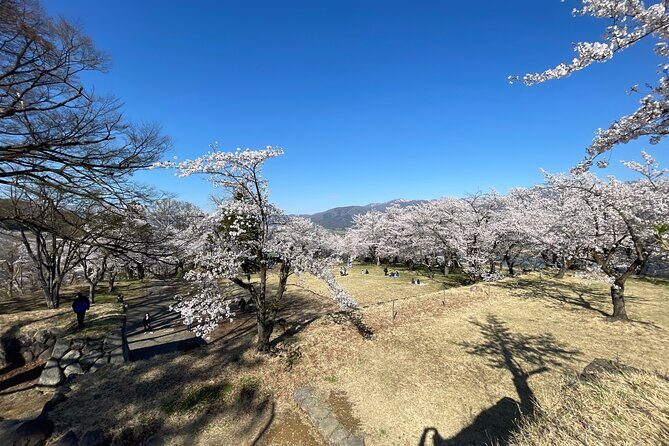 Iiyama Castle Cherry Blossom and Nozawa Onsen Morning Tour - Final Thoughts