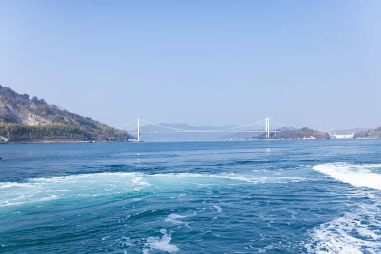 Imabari: Cruising on Fast Tides and Tobishima Kaido Bus Tour - What Makes This Tour Stand Out