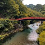 Immersive Nikko Experience Full-Day Guided Walking Tour - A Deep Dive into the Tour Experience