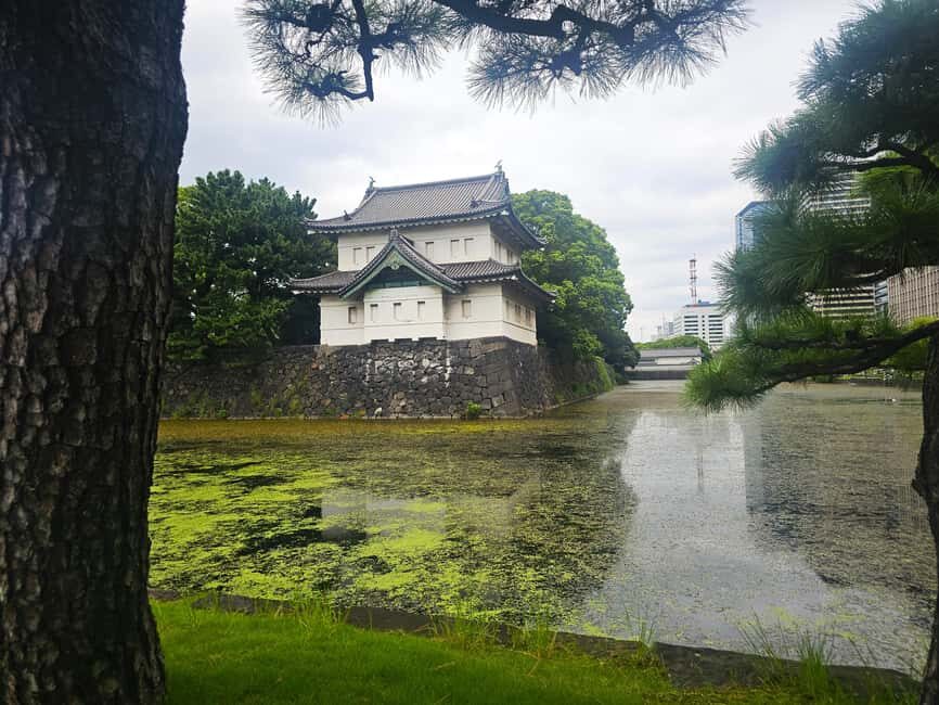 Imperial Palace Gardens and Surroundings - Walking Tour - What to Expect & Practical Details