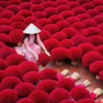 Incense Craft Village & Hanoi City Daily Tour - Evaluating the Value and Practicality