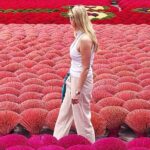 Incense Village, Conical Hat, Lacquer Art, SMALL GROUP From Hanoi - Who Should Consider This Tour?