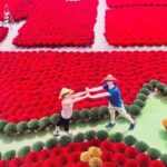 Incense Village Small Group Of 9 Tour to Ninh Binh From Hanoi - Who Should Consider This Tour?