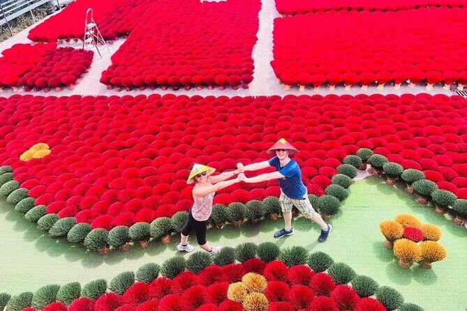 Incense Village Small Group Of 9 Tour to Ninh Binh From Hanoi - Who Should Consider This Tour?