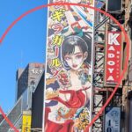 Includes a sukiyaki bento box ! Samurai Restaurant in Shinjuku - Overview of the Experience