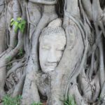 Individual 8 hours private trip - Bangkok/Ayutthaya - An In-Depth Look at the Tour Experience