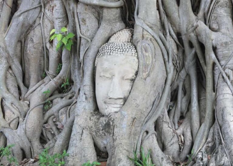 Individual 8 hours private trip - Bangkok/Ayutthaya - An In-Depth Look at the Tour Experience