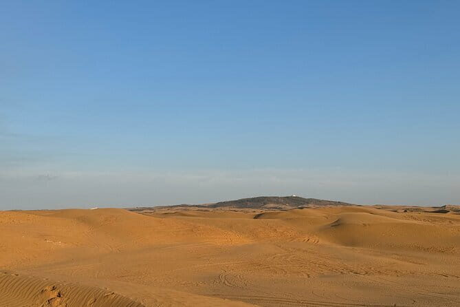Inner Mongolia Hohhot 1Day Kubuqi Desert (Whistling Dune Bay)Tour - An In-Depth Look at the Tour Experience