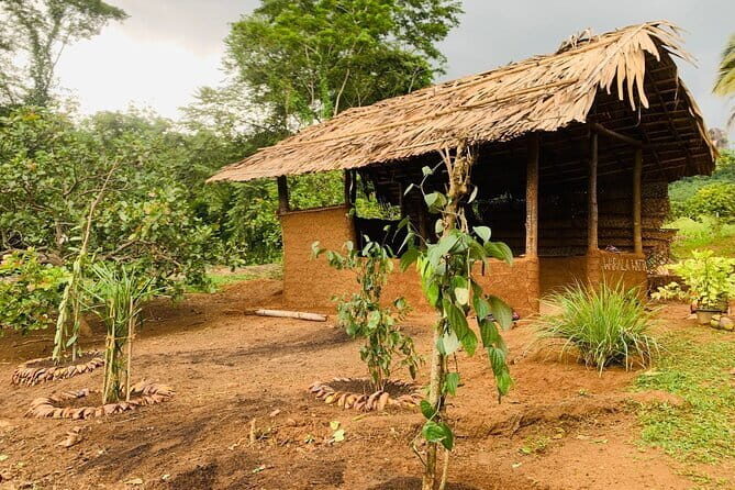 Interactive Cinnamon and Spices Experience at Warala Watta Farm - Practical Tips for Your Visit