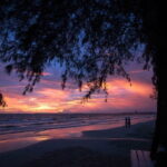 Intercity Transfer (Siem Reap to Sihanoukville) - What Reviewers Say