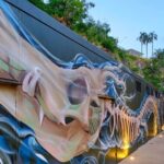 International Street Art Walking Tour, Brisbane - FAQ