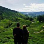 Ipoh: Cameron Highlands Day Tour tea plantation with lunch - The Itinerary Breakdown: What to Expect