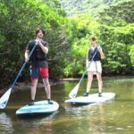 Iriomote island: Mangrove River SUP or Canoe Cruising Tour - What You Can Expect: A Detailed Look at the Tour