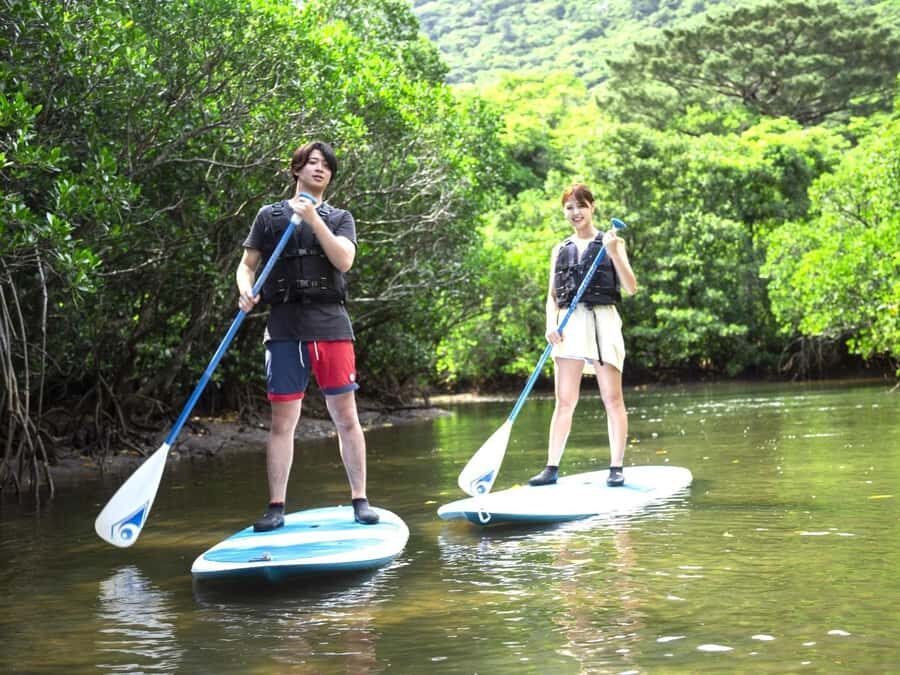 Iriomote island: Mangrove River SUP or Canoe Cruising Tour - What You Can Expect: A Detailed Look at the Tour