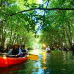 Iriomote Island: SUP or Canoeing and Canyoning Tour - The Authentic Experience of Exploring Iriomote