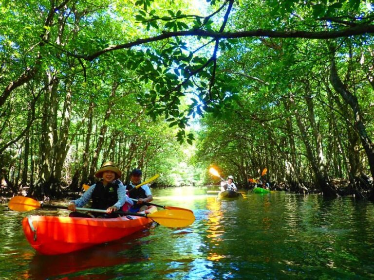 Iriomote Island: SUP or Canoeing and Canyoning Tour - The Authentic Experience of Exploring Iriomote