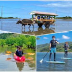 Iriomote: Mangrove SUP or Canoe and Yubujima sightseeing - The Practicalities