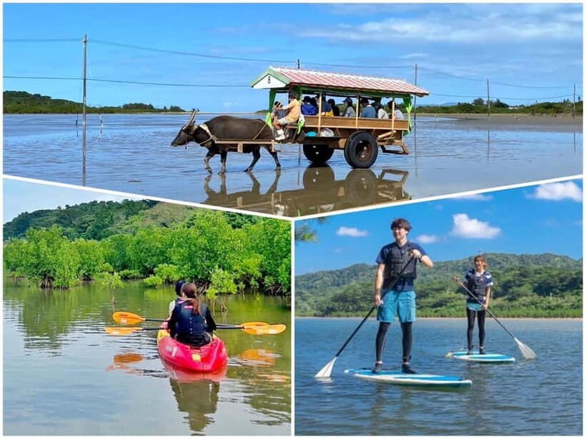 Iriomote: Mangrove SUP or Canoe and Yubujima sightseeing - The Practicalities