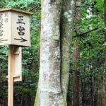 Ise Jingu Shrine Pilgrimage and Meoto Iwa Bus Tour - Price and Value: Is It Worth It?
