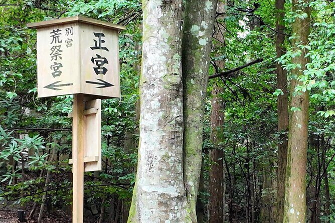 Ise Jingu Shrine Pilgrimage and Meoto Iwa Bus Tour - Price and Value: Is It Worth It?