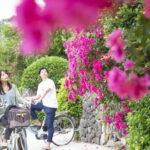 Ishigaki Island: Blue Cave Snorkeling & Taketomi Sightseeing - Who Should Consider This Tour?