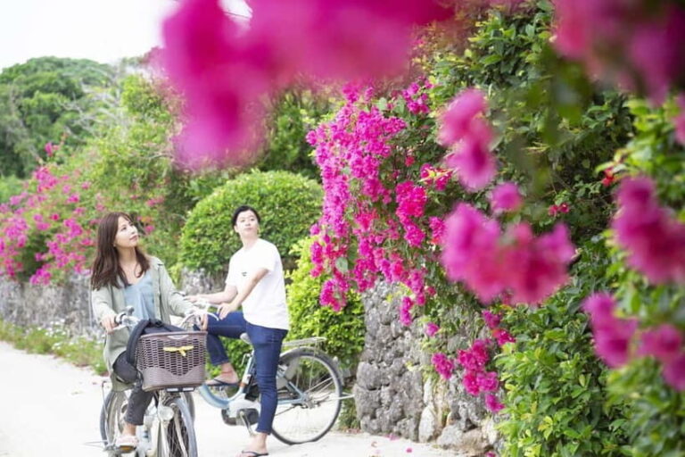 Ishigaki Island: Blue Cave Snorkeling & Taketomi Sightseeing - Who Should Consider This Tour?