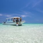 Ishigaki Island: Boat Snorkeling Tour at Phantom Island - What’s Included and What to Expect