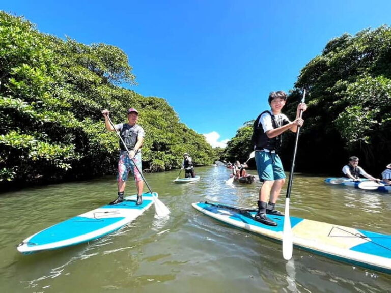 Ishigaki: Mangrove SUP or Canoe Tour Taketomi Sightseeing - The Sum Up: Who Will Love This Experience?