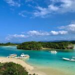 Ishigaki Okinawa: Private Shore Excursion for Cruise Guests - Practical Details and Experience