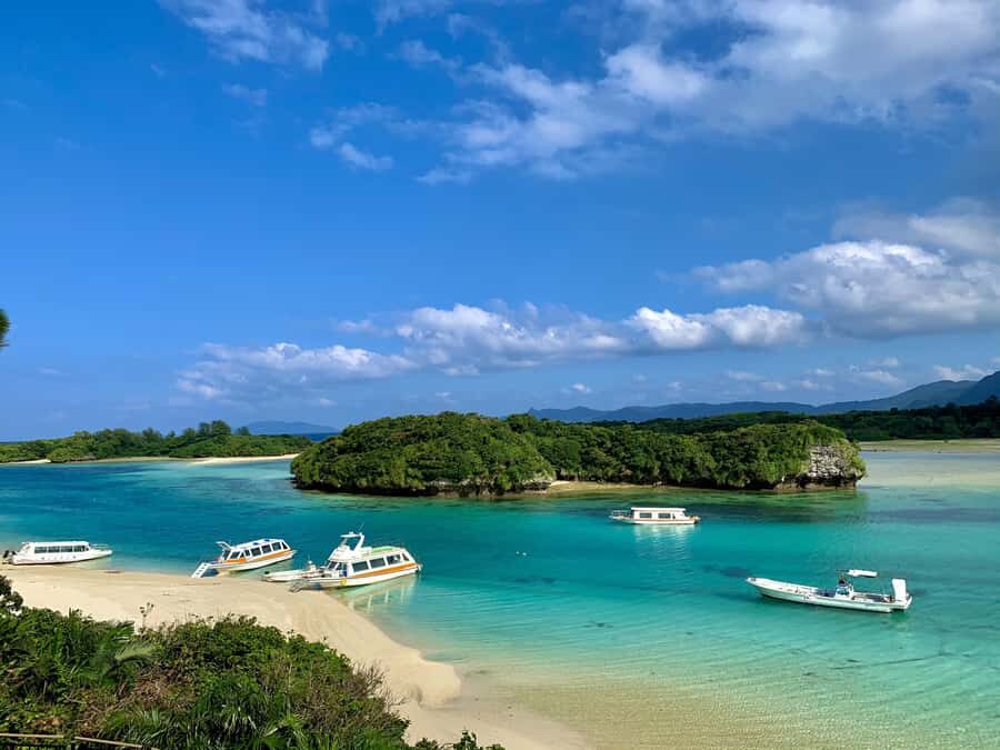 Ishigaki Okinawa: Private Shore Excursion for Cruise Guests - Practical Details and Experience
