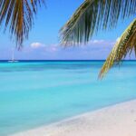 Isla Saona a tropical paradise and the best natural pool in Punta Cana - Practical Aspects and Value