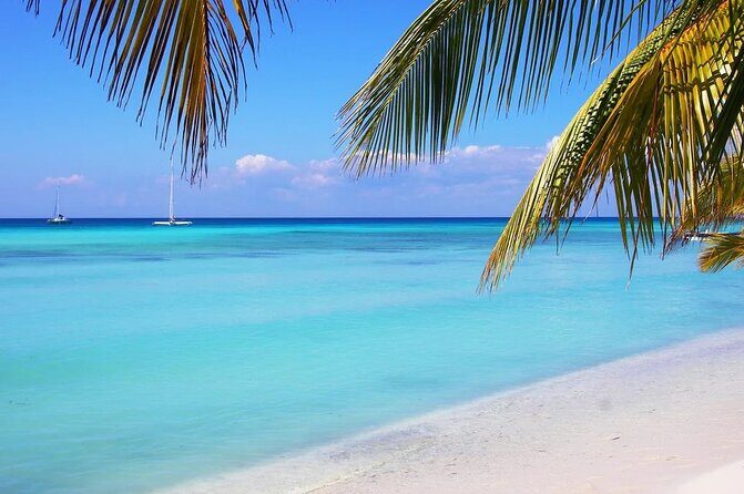 Isla Saona a tropical paradise and the best natural pool in Punta Cana - Practical Aspects and Value