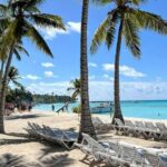 isla saona día completo - Exploring Isla Saona: Beaches, Snorkeling, and Natural Beauty