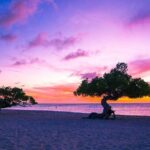 Island Tours and Party Bus Adventures in Aruba - The Itinerary: What You Can Expect