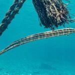 Island Treasures: Caves, Turtles and Turquoise Beach Break - Transportation, Timing, and Group Size