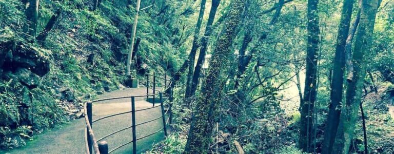 ita: Lantern-Lit Towns and Christmas Lights Tour - Why Travelers Should Consider This Tour