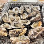 Itoshima Nature Tour with Oyster - Who Should Book This Tour?
