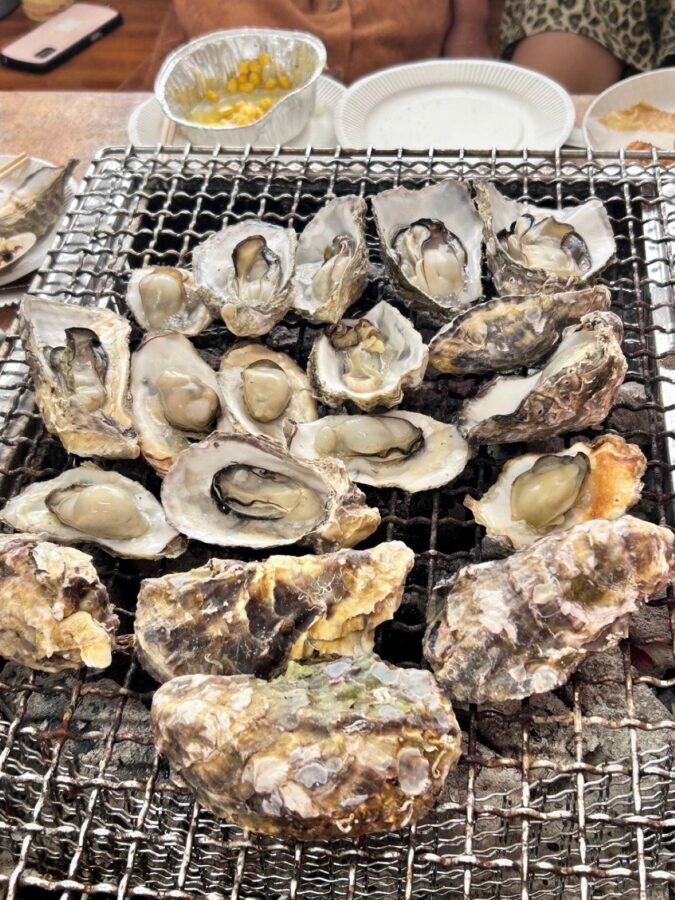 Itoshima Nature Tour with Oyster - Who Should Book This Tour?