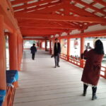 Itsukushima Shrine: Guided Tour with a Local - Why This Tour Offers Value