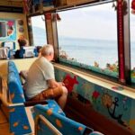 Izu Day Trip: Omuroyama & Coast 9-Guest Small Group - The Value of This Trip