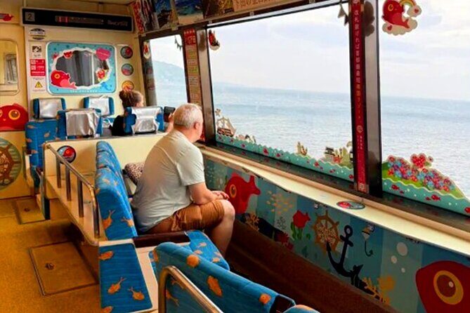 Izu Day Trip: Omuroyama & Coast 9-Guest Small Group - The Value of This Trip