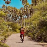 Jaffna City Tuk Tuk Adventure  Explore Like a Local! - Who Would Love This Tour?