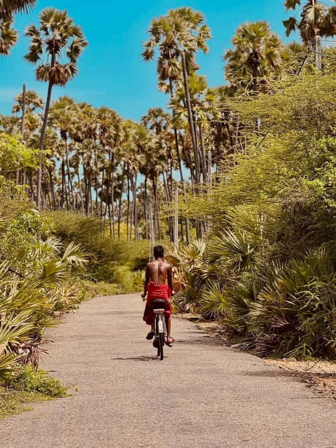 Jaffna City Tuk Tuk Adventure  Explore Like a Local! - Who Would Love This Tour?