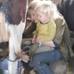 Jaffna: Cow Milking and Dairy Farm Experience - An Authentic Dive into Jaffna’s Dairy Traditions