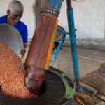 Jaffna Traditional Sesame Oil Extraction Experience - What to Expect from the Tour