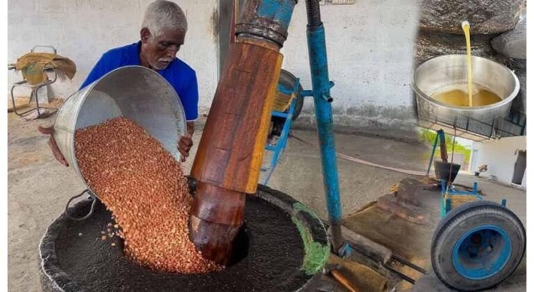 Jaffna Traditional Sesame Oil Extraction Experience - What to Expect from the Tour