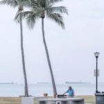 Jaffna War History Trail  Explore the Unseen North - Final Thoughts: Who Is This Tour For?