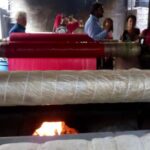 Jaipur: Bagru Block Printing Workshop with Local Artisans - Exploring the Details of the Bagru Block Printing Tour