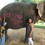 Jaipur: Elephant Interaction Tour - The Practicalities of the Tour